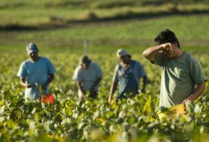 Recruitment For Agricultural worker In Canada