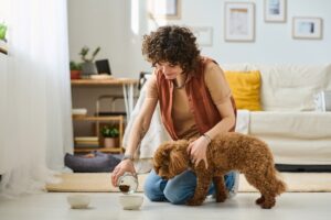Unleashing opportunities: A guide to Pet Sitter Jobs in Canada