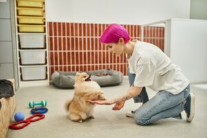 Unleashing opportunities: A guide to Pet Sitter Jobs in Canada