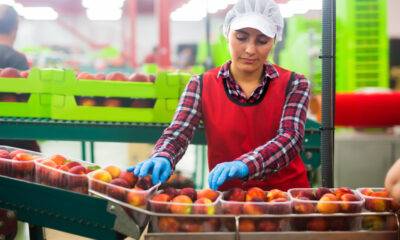 Food Production Worker in the USA
