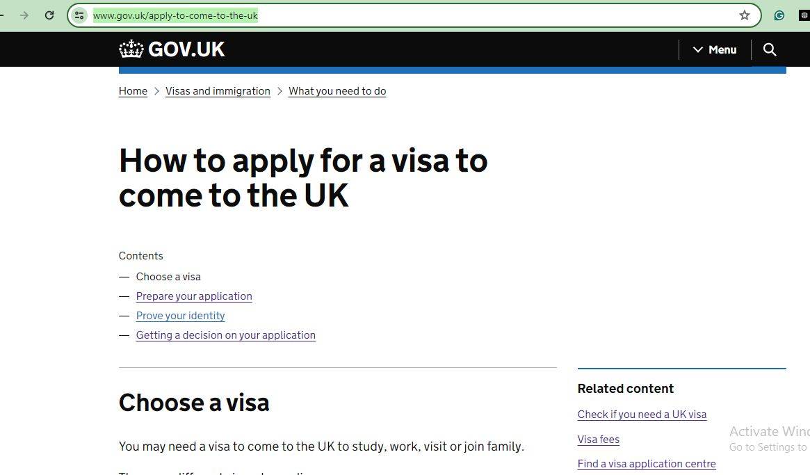 UK Visa for Tech Startups: A page for online visa application 