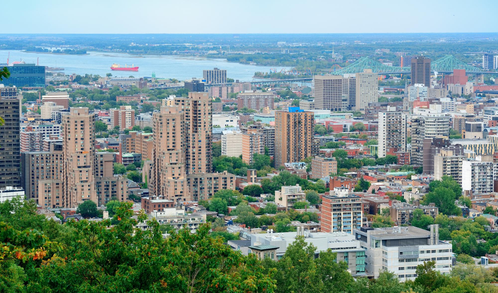 Montreal vs Calgary: Montreal day view from Mont Royal with city skyline 