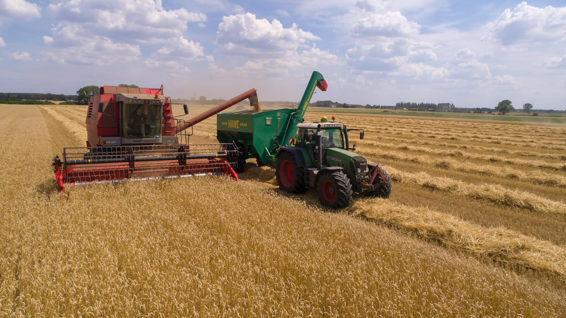 Farm Worker Jobs in the USA: Your Guide to Finding Roles with Visa Sponsorship