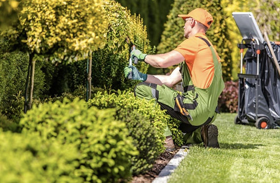 How to Find and Secure Groundskeeper/Landscaper Jobs in Canada with Visa Sponsorship