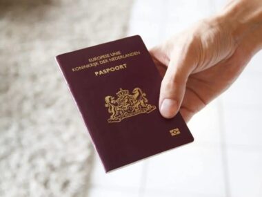 Working in the Netherlands as an Immigrant: What Every Immigrants Should Know